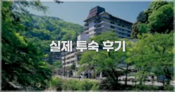 💬 실제 투숙 후기