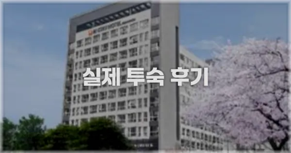 💬 실제 투숙 후기