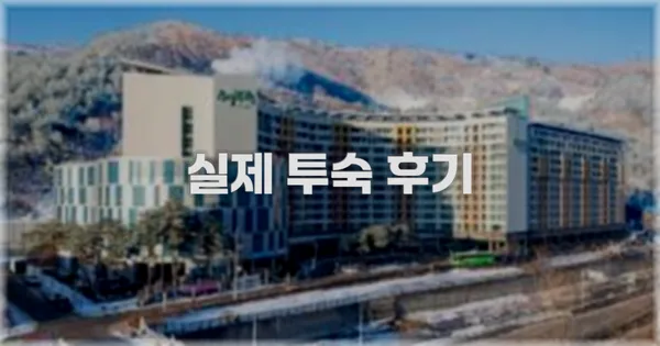 💬 실제 투숙 후기