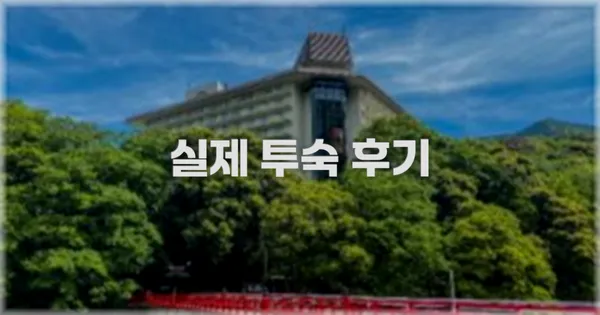 💬 실제 투숙 후기