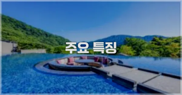 ✨ 주요 특징
