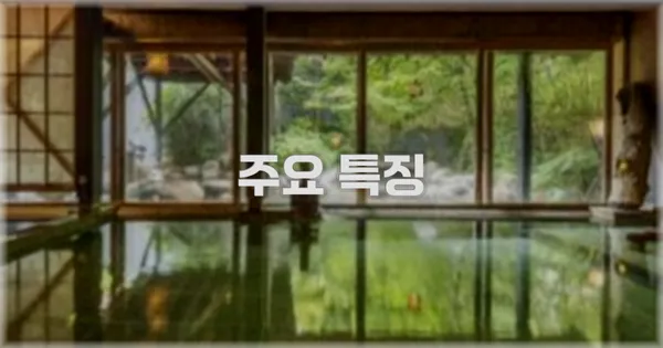 ✨ 주요 특징