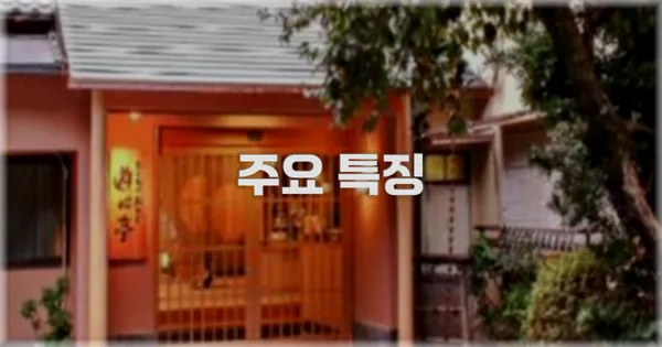 ✨ 주요 특징