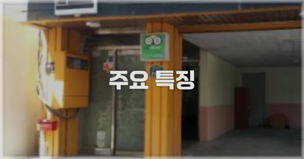 ✨ 주요 특징