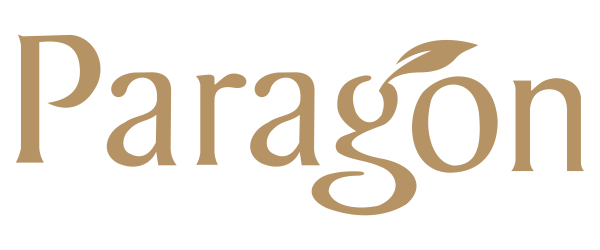 파라곤 로고